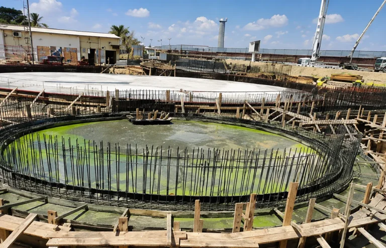 Egyptian Petrochemical Company Tanks – Egypt